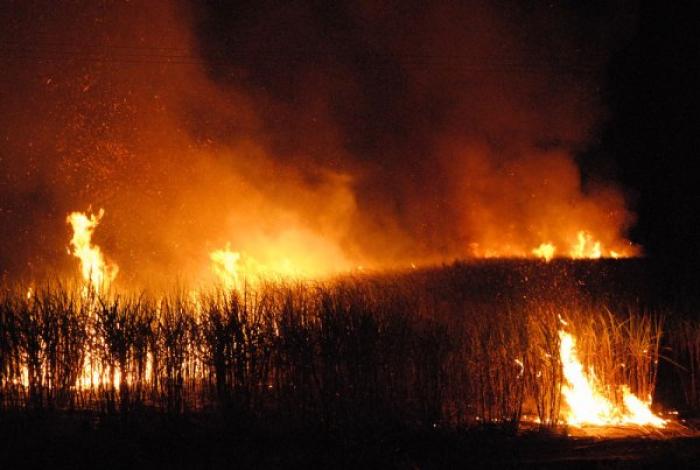 Bombeiros combatem mais um incêndio as margens da Rodovia Faria Lima em Colômbia - Foto: Divulgação 