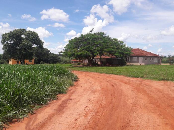 Bandidos tentam assaltar fazenda Alvorada, em Colômbia - Foto: Portal NC