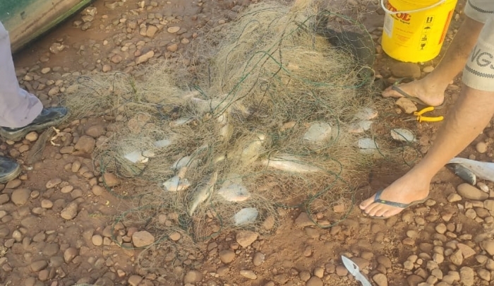 Pescador é multado por capturar peixes abaixo da medida - Foto: 