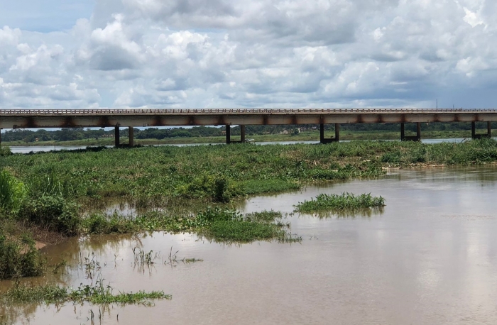 DNIT notifica Furnas para fazer limpeza de vegetação aquática próxima à ponte - Foto: 