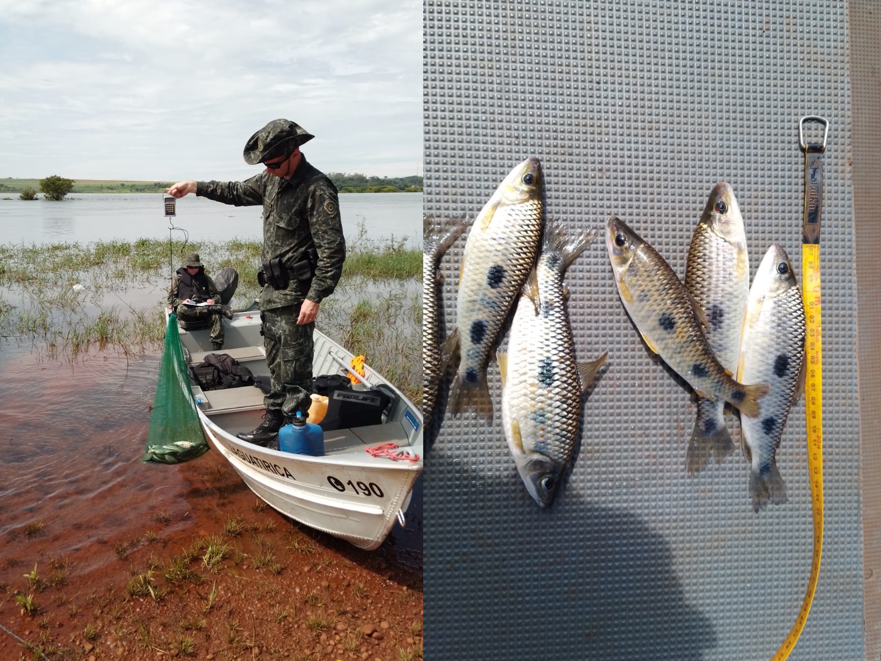 : Pescador é multado em mais de R$ 2 mil por capturar peixes ilegalmente.