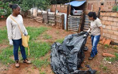 Saúde realiza mutirão de limpeza contra a dengue em Colômbia